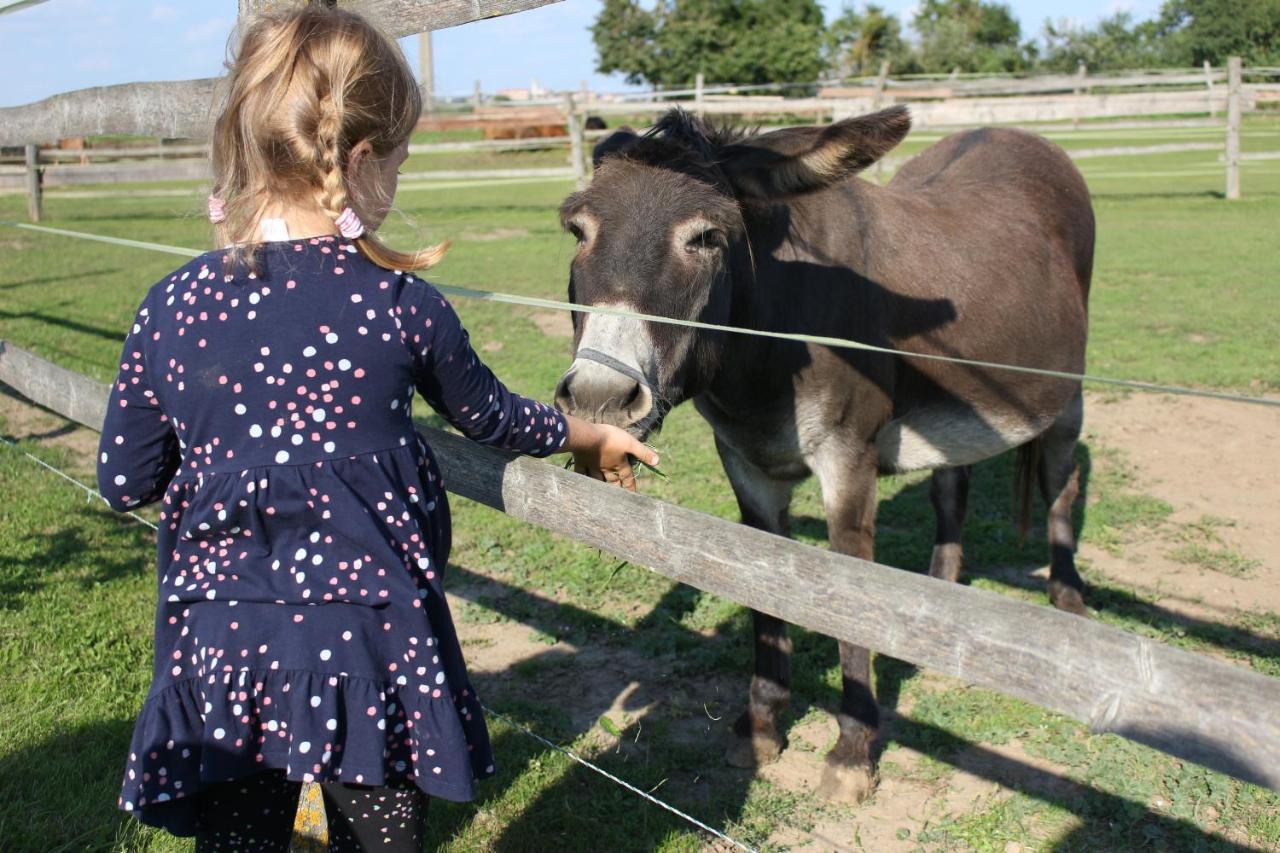 Zoopark Zelcin Villa Melnik Luaran gambar