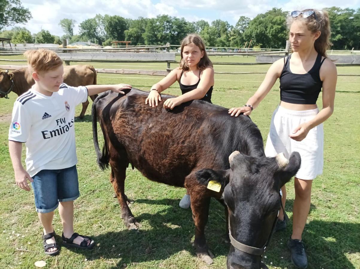Zoopark Zelcin Villa Melnik Luaran gambar