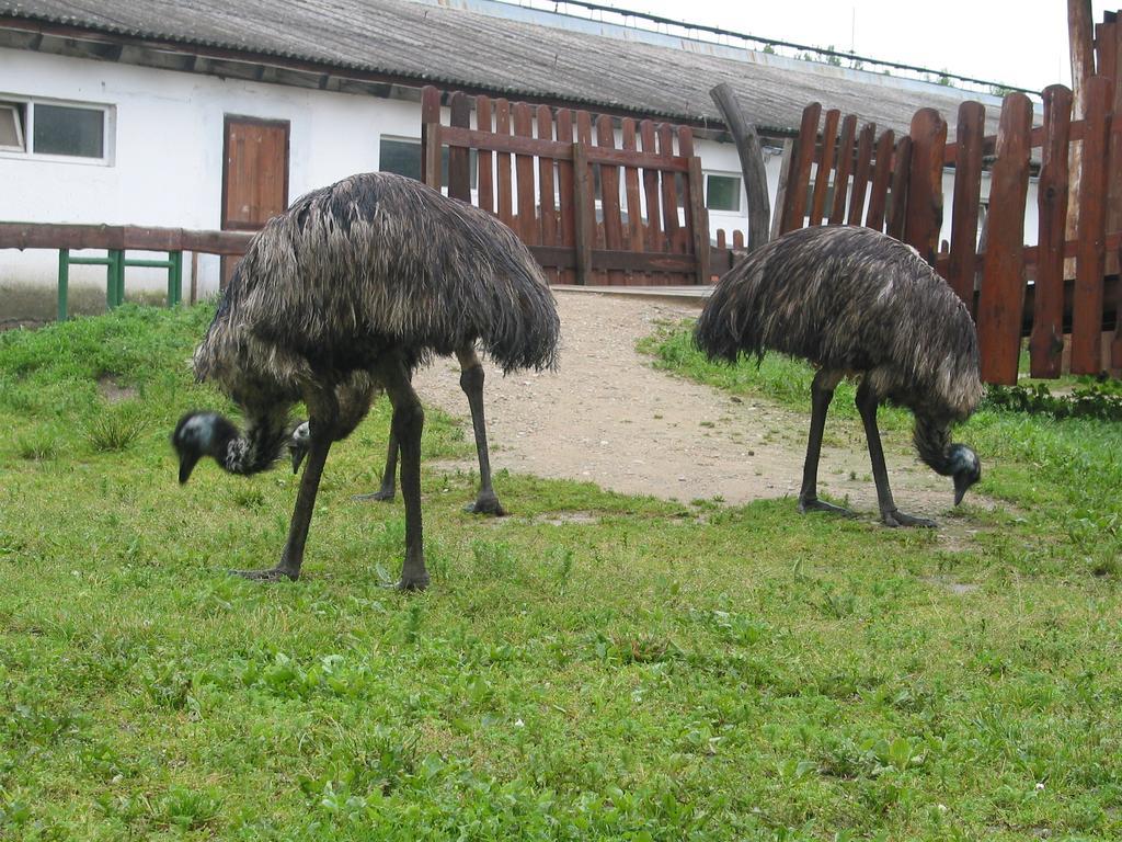 Zoopark Zelcin Villa Melnik Luaran gambar
